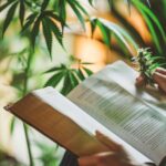Is There Scientific Research To Support The Use Of CBD For Health Issues